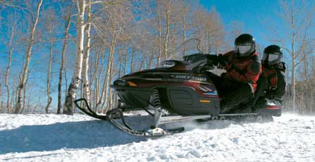 Ski-Doo Legend GT 800 SDI