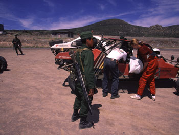 Мексиканская баха "Baja 1000"