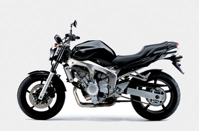 Основной особенностью модификации Naked нужно считать более агрессивную внешность