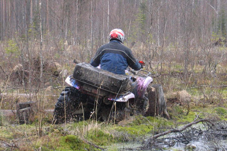 Гонка «Кировские болота – Кубок Лайерт»