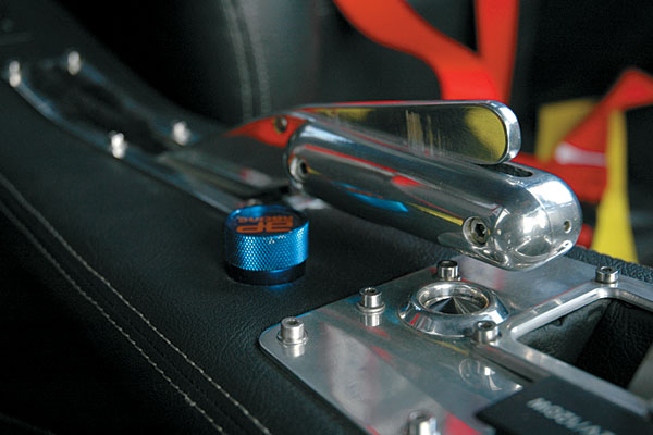 В руках змеелова