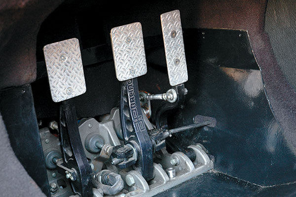 В руках змеелова