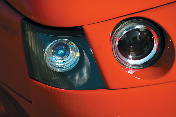 В руках змеелова