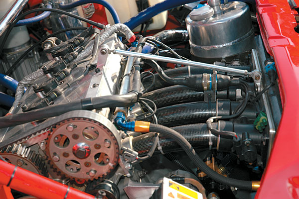 В руках змеелова