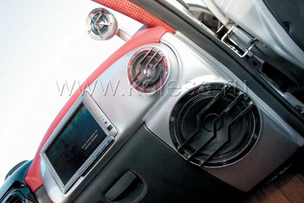 Акустика, обслуживающая CD-систему, - трехполосная. Причем ни одна из этих полос не отвечает за нижние частоты