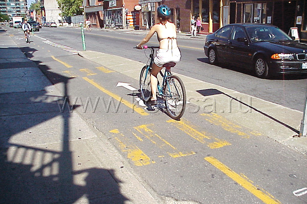 Один погонный метр велодорожки обойдется бюджету города в $100