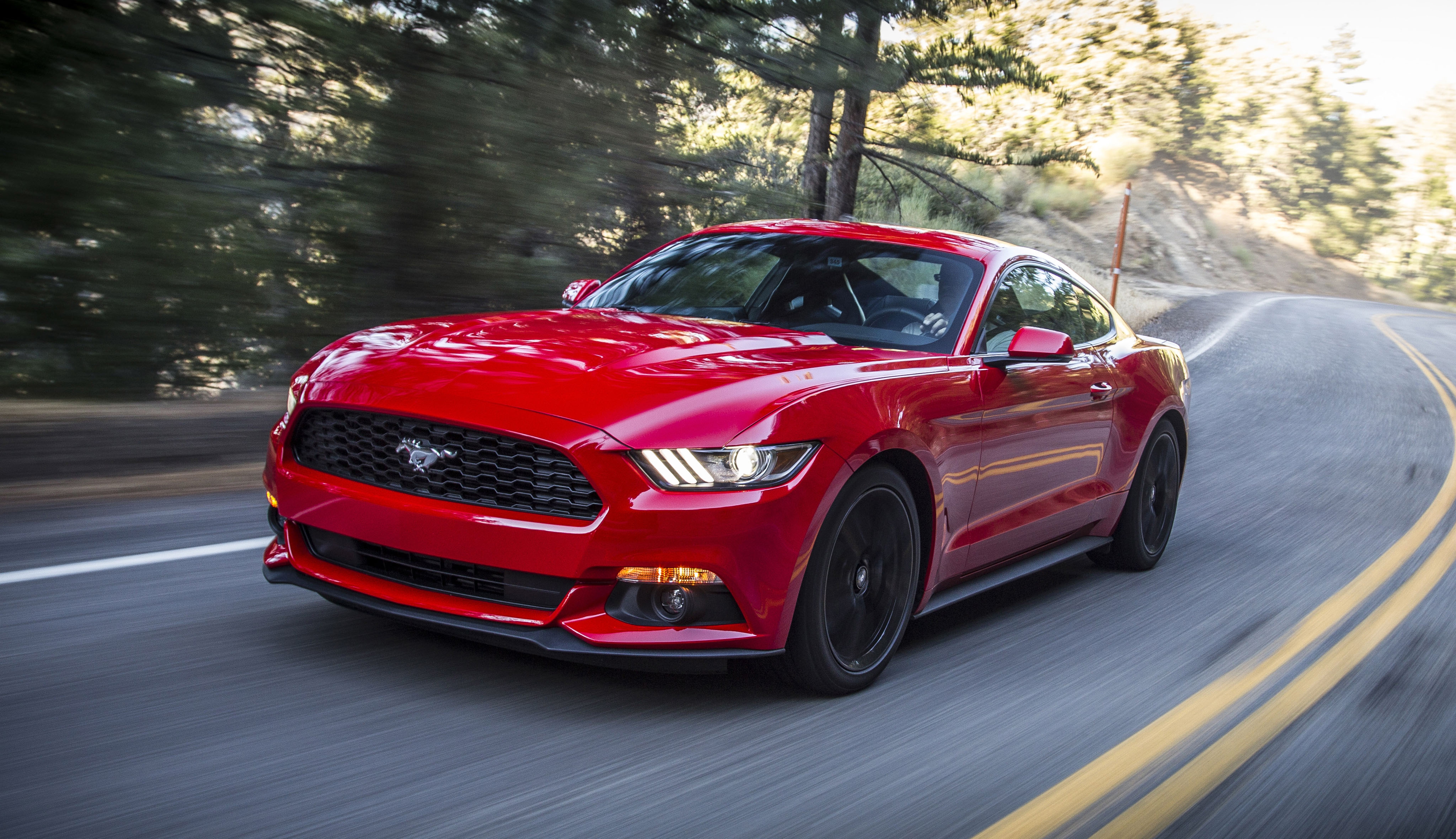 ford_mustang_ecoboost_coupe_15.jpg