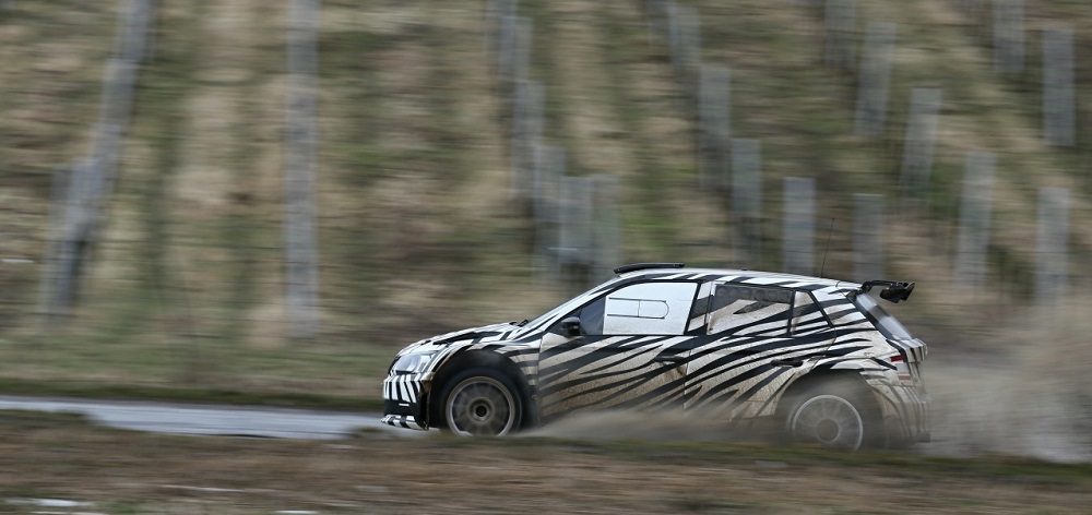 fabia-r5-winter-test-03.jpg