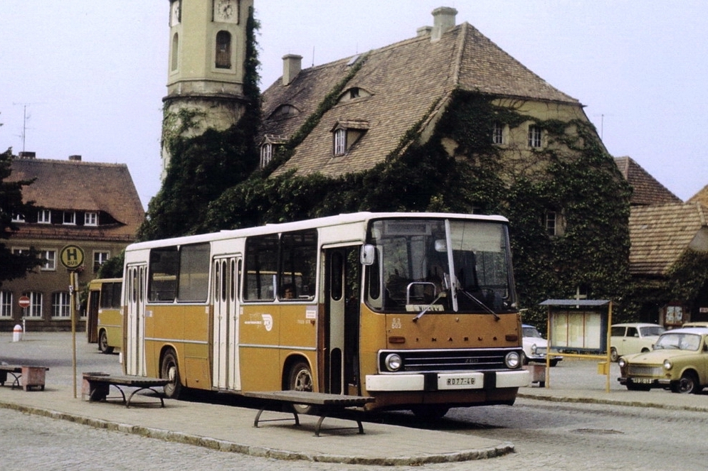 ikarus_260_22.jpg